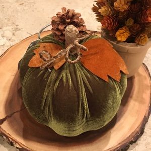 NWT Green Velvet Pumpkin with Acorn